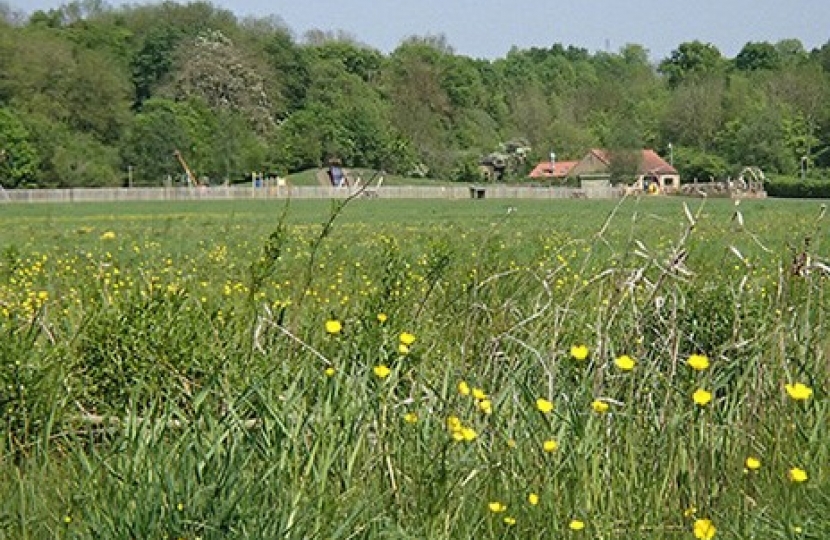 Green Flag Hinchingbrooke Country Park