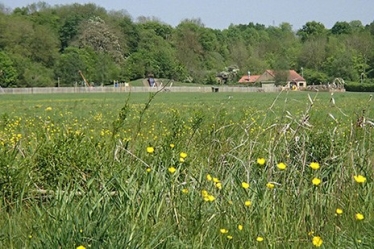 Green Flag Hinchingbrooke Country Park